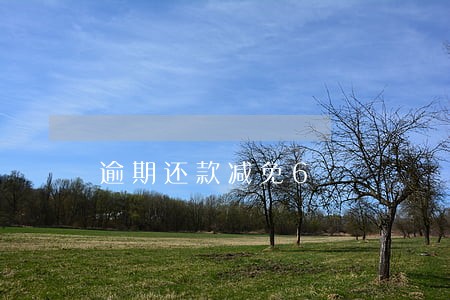 逾期还款减免6 逾期还款减免6