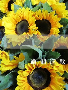 逾期还款减免利息 逾期还款减免利息