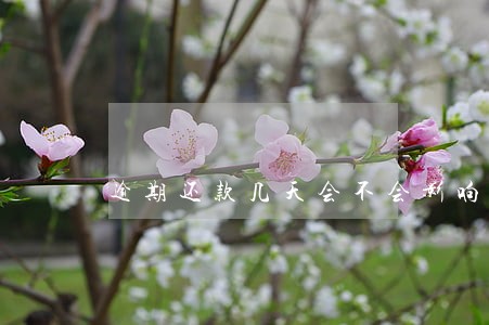 逾期还款几天会不会影响贷款