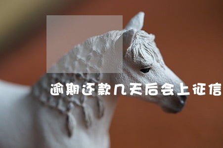 逾期还款几天后会上征信 逾期还款几天后会上征信