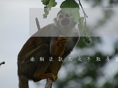 逾期还款几次不能房贷 逾期还款几次不能房贷