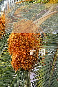 逾期还款几次会上黑名单