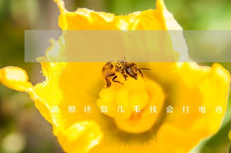 逾期还款几毛钱会打电话吗 逾期还款几毛钱会打电话吗