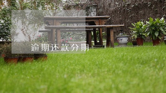 逾期还款分期 逾期还款分期