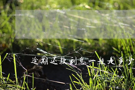 逾期还款利息一般是多少 逾期还款利息一般是多少