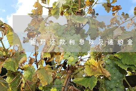 逾期还款利息以及违约金 逾期还款利息以及违约金