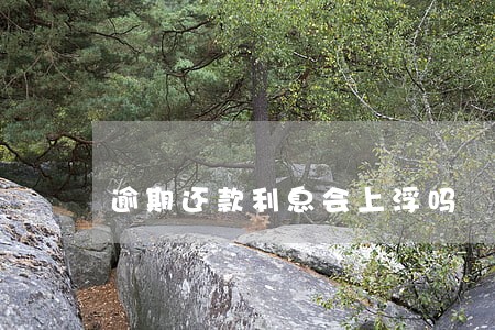 逾期还款利息会上浮吗 逾期还款利息会上浮吗