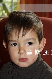 逾期还款利息到什么时候止