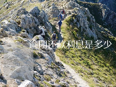 逾期还款利息是多少 逾期还款利息是多少