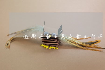 逾期还款利息本金如何还款