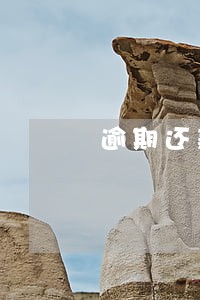 逾期还款利息法律规定 逾期还款利息法律规定