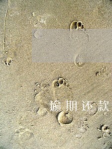 逾期还款利息消除 逾期还款利息消除