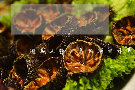 逾期还款利息的期间计算 逾期还款利息的期间计算
