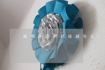 逾期还款利息能减免么 逾期还款利息能减免么