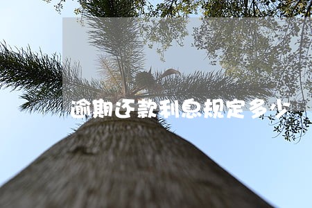 逾期还款利息规定多少 逾期还款利息规定多少