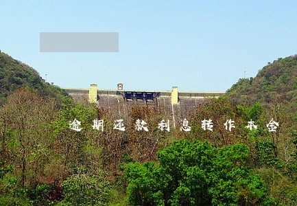 逾期还款利息转作本金 逾期还款利息转作本金