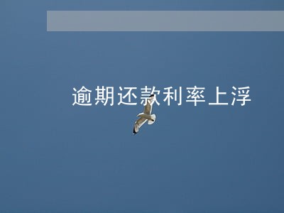 逾期还款利率上浮 逾期还款利率上浮