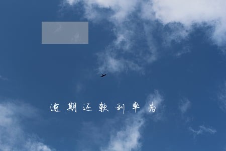 逾期还款利率为 逾期还款利率为