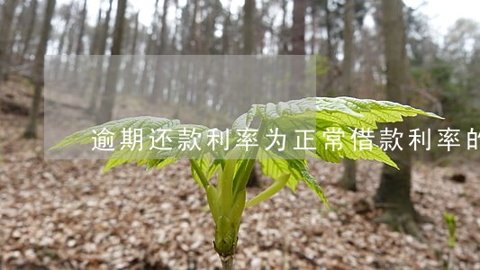 逾期还款利率为正常借款利率的 逾期还款利率为正常借款利率的