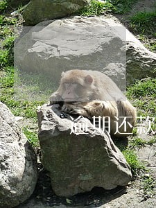 逾期还款利率怎么计算