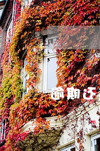 逾期还款利率怎么计算器 逾期还款利率怎么计算器