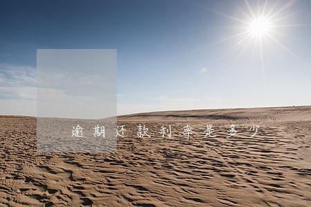 逾期还款利率是多少
