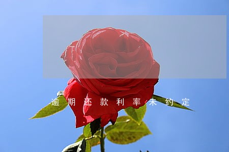 逾期还款利率未约定 逾期还款利率未约定