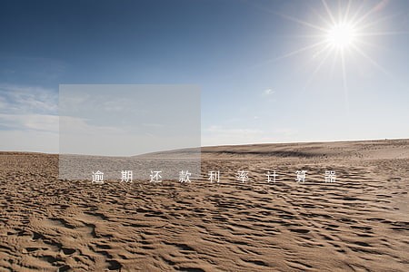 逾期还款利率计算器 逾期还款利率计算器