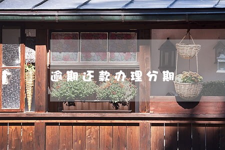逾期还款办理分期 逾期还款办理分期