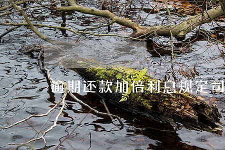逾期还款加倍利息规定司法解释 逾期还款加倍利息规定司法解释