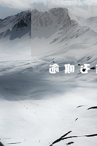 逾期还款十天 逾期还款十天