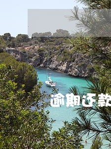 逾期还款半小时会上征信吗 逾期还款半小时会上征信吗