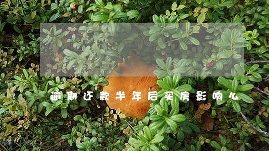 逾期还款半年后买房影响么 逾期还款半年后买房影响么