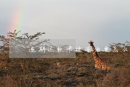逾期还款卡被冻结要怎么解冻 逾期还款卡被冻结要怎么解冻