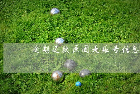 逾期还款原因是账号信息问题 逾期还款原因是账号信息问题