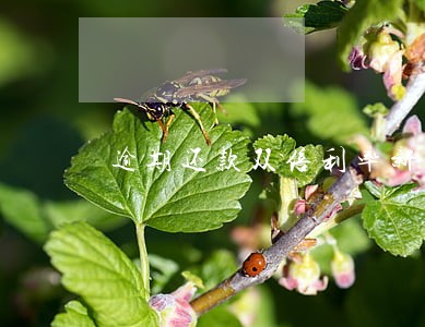 逾期还款双倍利率新写法 逾期还款双倍利率新写法