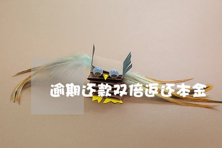 逾期还款双倍返还本金 逾期还款双倍返还本金