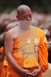 逾期还款只约定违约金 逾期还款只约定违约金