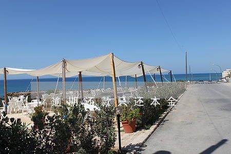 逾期还款只还本金 逾期还款只还本金