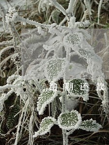 逾期还款可以分期么 逾期还款可以分期么