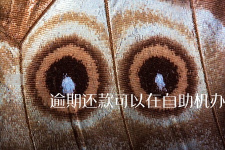 逾期还款可以在自助机办理吗 逾期还款可以在自助机办理吗