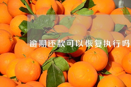 逾期还款可以恢复执行吗 逾期还款可以恢复执行吗