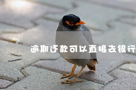 逾期还款可以直接去银行吗 逾期还款可以直接去银行吗