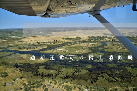 逾期还款可以网上消除吗 逾期还款可以网上消除吗