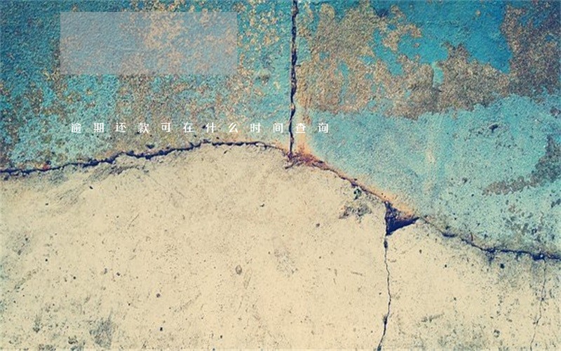 逾期还款可在什么时间查询 逾期还款可在什么时间查询