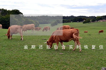 逾期还款后会实时恢复信用吗 逾期还款后会实时恢复信用吗