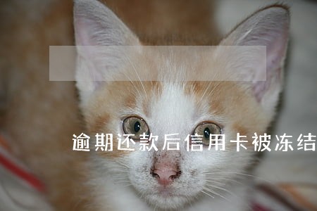 逾期还款后信用卡被冻结 逾期还款后信用卡被冻结