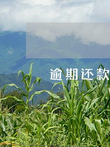 逾期还款后信用卡还能使用吗 逾期还款后信用卡还能使用吗