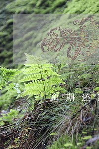 逾期还款后再去申请解冻 逾期还款后再去申请解冻