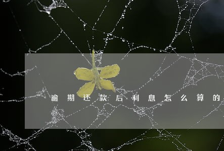 逾期还款后利息怎么算的 逾期还款后利息怎么算的